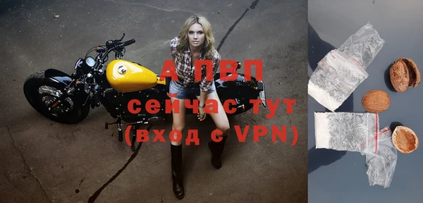 стафф Приозерск