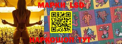 ГАЛЛЮЦИНОГЕННЫЕ ГРИБЫ Камышлов
